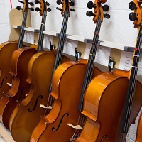 strings instruments